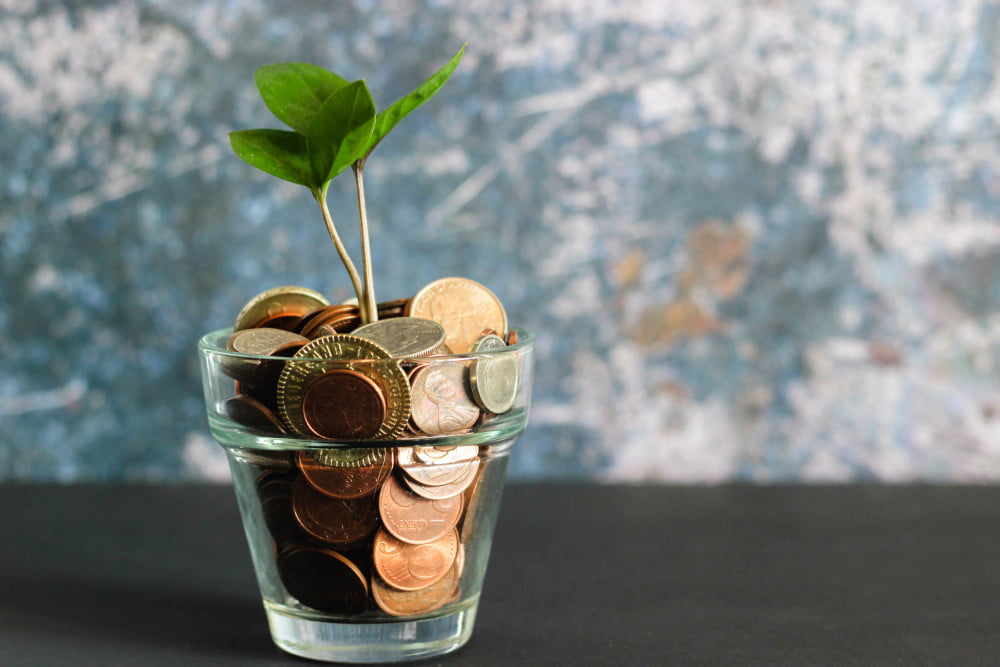 raise-seed-fund raise-seed-fund