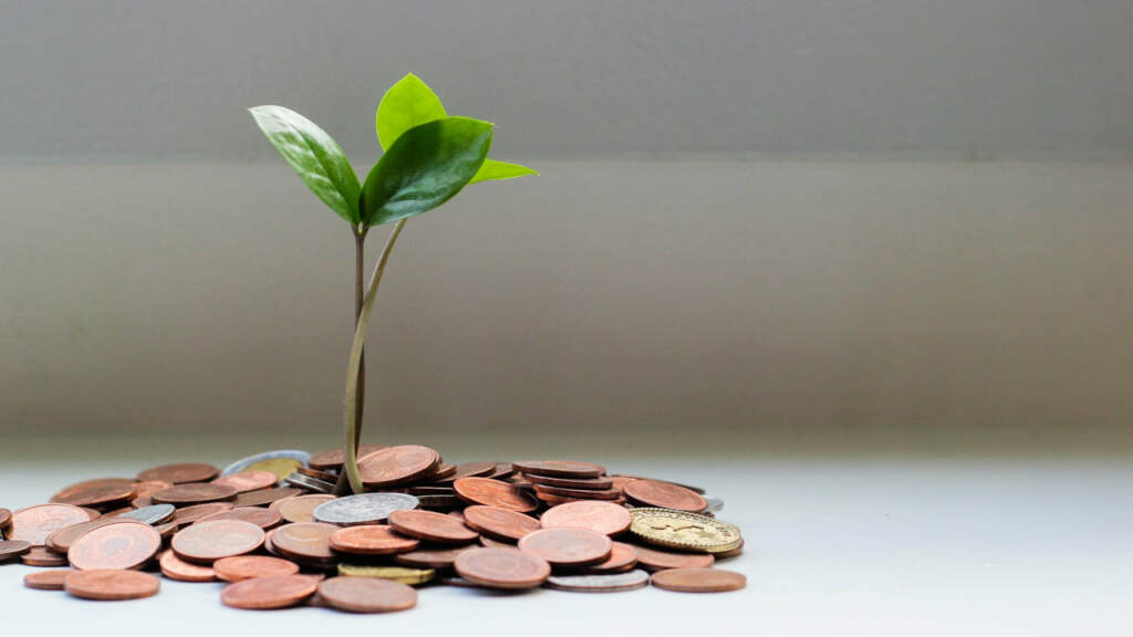 SEIS Seed Fund