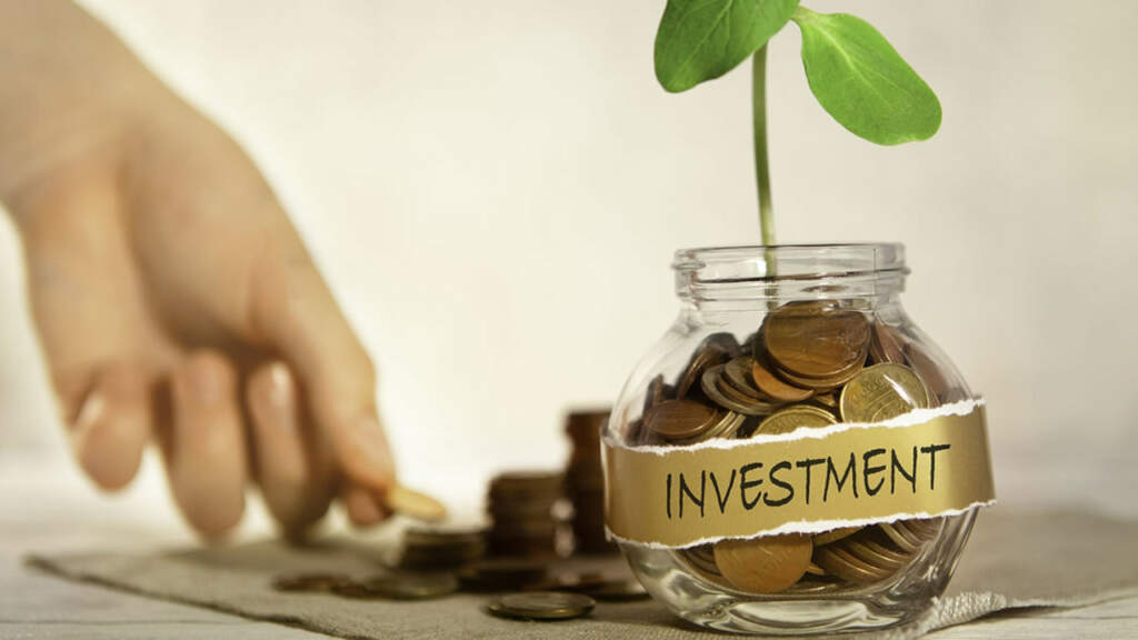 SEIS & EIS Investments